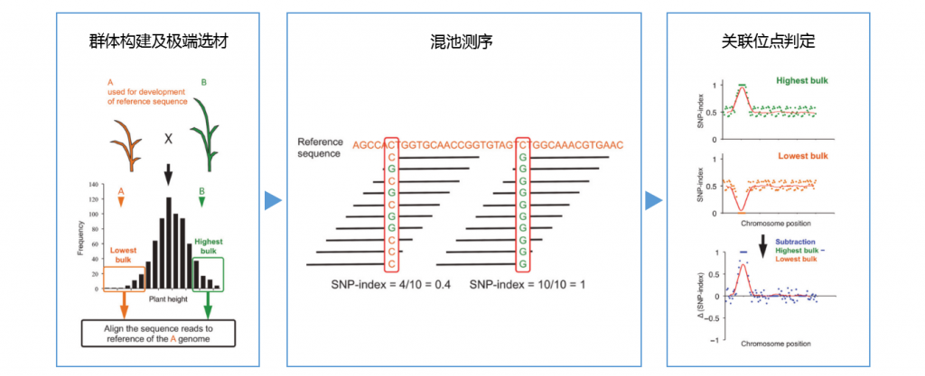 q0wivj3v_azv5yyvg1 q0wivj3v_azv5yyvg1