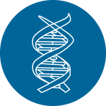 繪制GO、KEGG分類富集圖