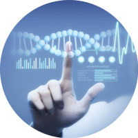 S1000-ONT 空間全長(zhǎng)轉(zhuǎn)錄組